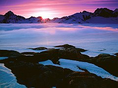 Morning Light Colors the Snowfield, Greenland